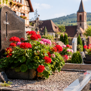 Géraniums sur une tombe en Alsace