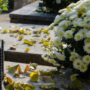 Entretien des tombes après la Toussaint